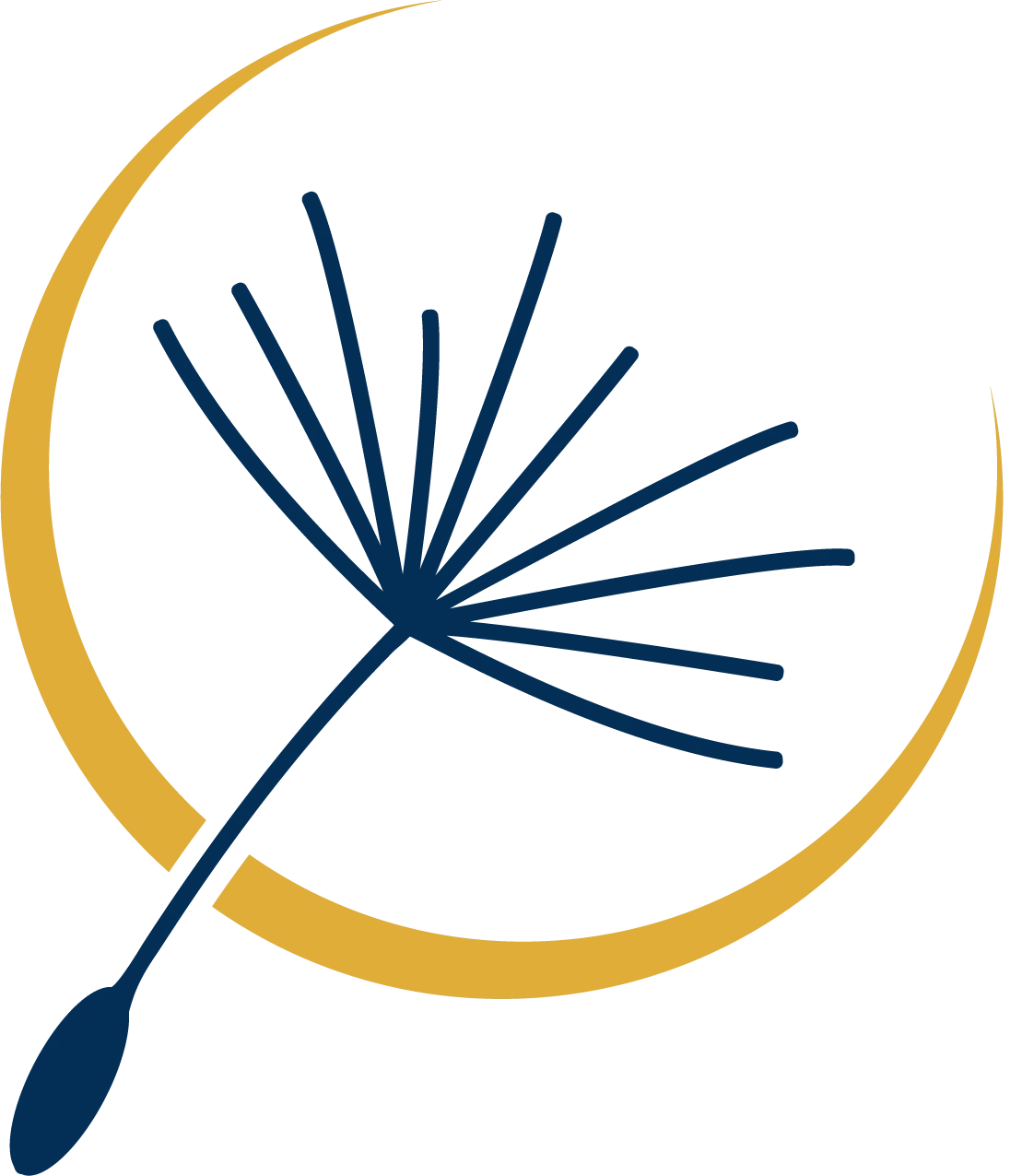 Radial & Astera Institute logo 2